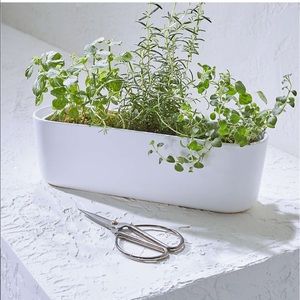Crate and Barrel Herb Planter with scissors
